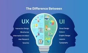 What is the difference between a UX and UI designer and a web designer?