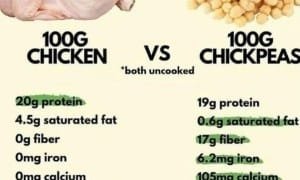 Chicken vs. Chickpeas 🧆👍👍👍👍  .